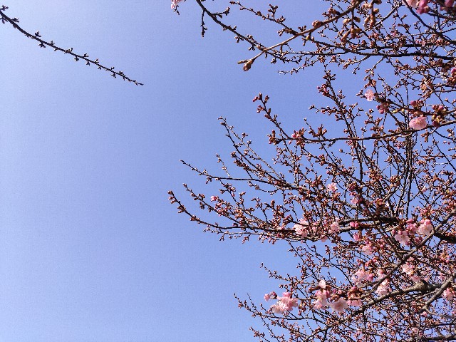 f:id:sato25:20220305163646j:image