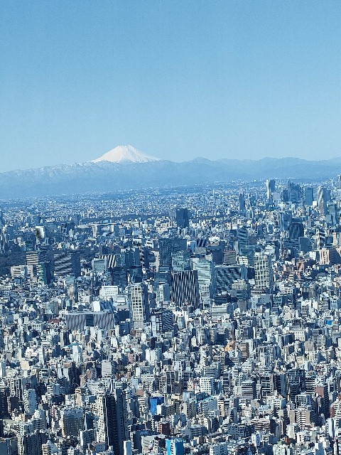 f:id:sato25:20230310152921j:image f:id:sato25:20230310152921j:image