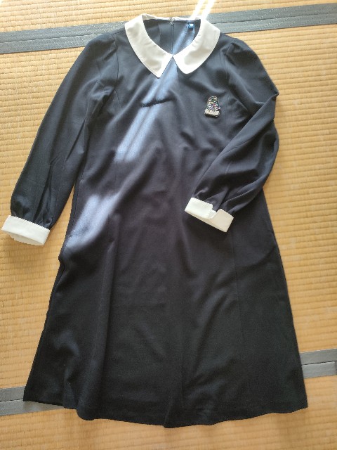 f:id:sato25:20241202112236j:image