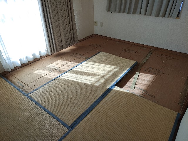 f:id:sato25:20250105121735j:image