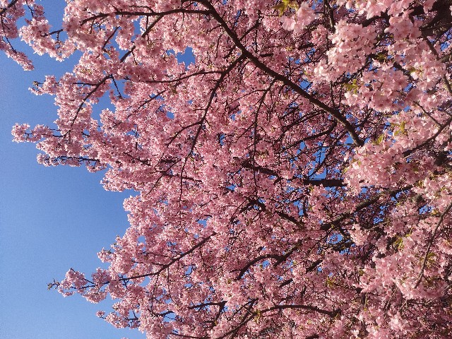 f:id:sato25:20250321153414j:image
