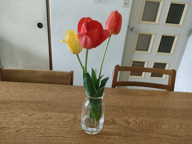 f:id:sato25:20250415143932j:image