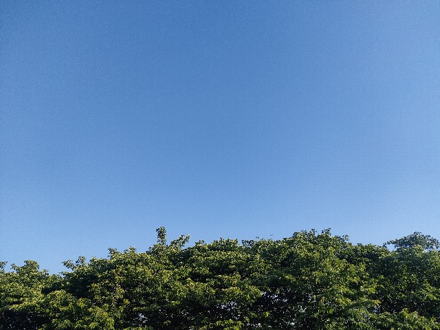 f:id:sato25:20250430165951j:image
