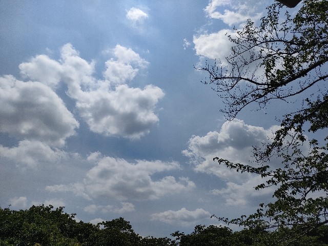 f:id:sato25:20250513141414j:image