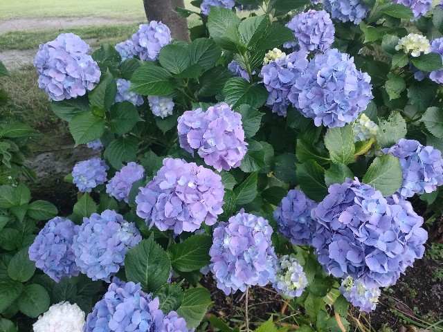 f:id:sato25:20250623122634j:image