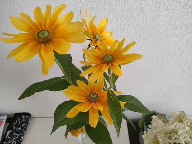 f:id:sato25:20250626114444j:image