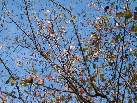 20071031124242