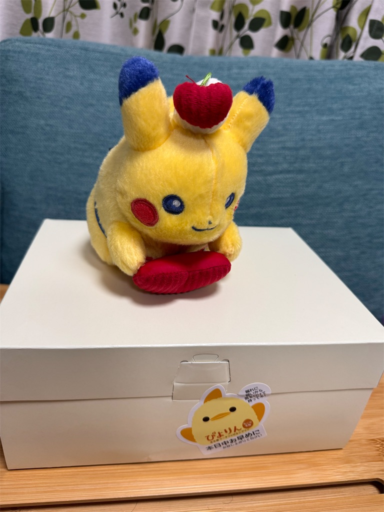 f:id:satobanana:20240621191217j:image