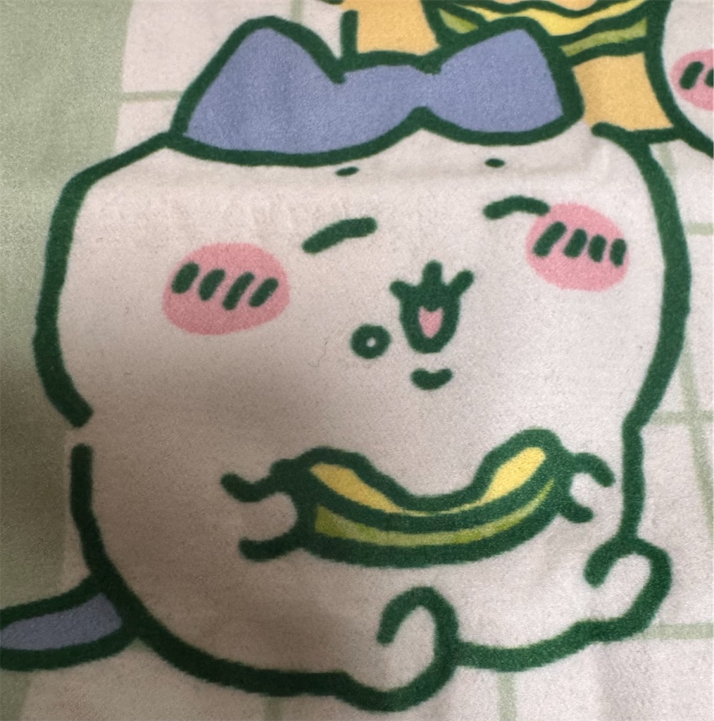 f:id:satobanana:20241231181229j:image