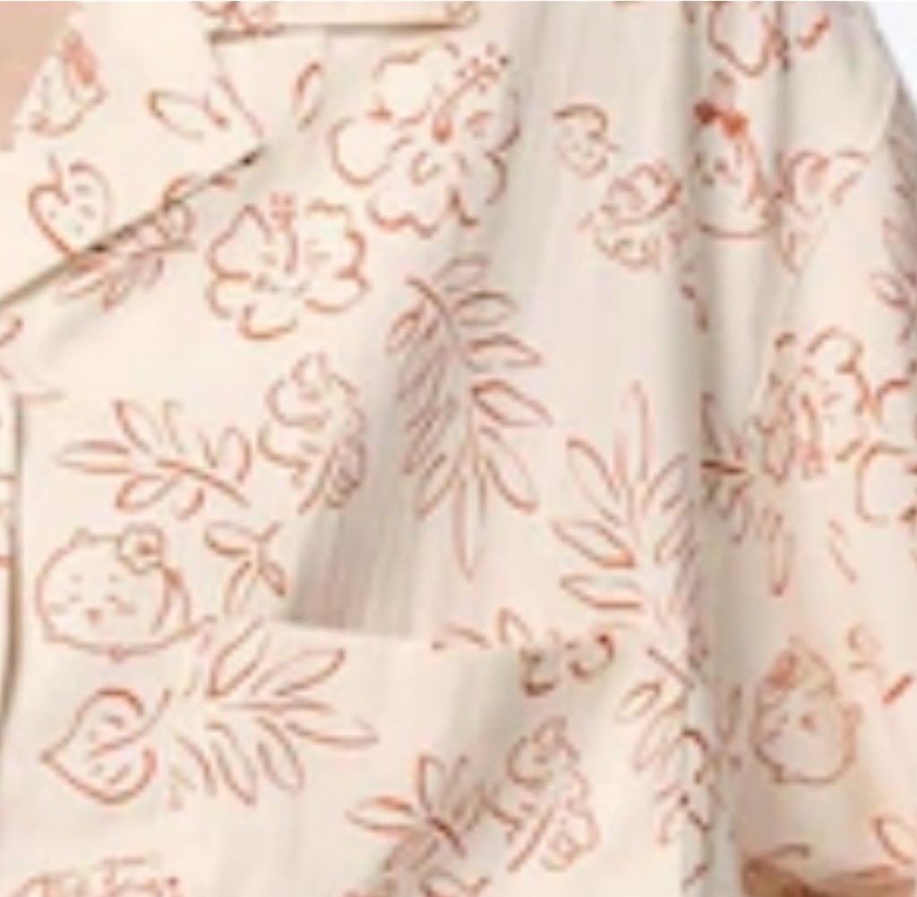 f:id:satobanana:20250509191450j:image
