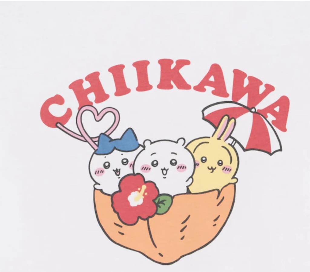 f:id:satobanana:20250509195153j:image