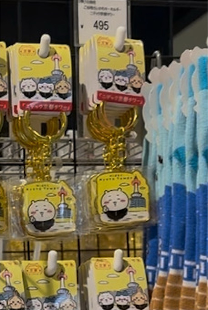 f:id:satobanana:20250612115457j:image