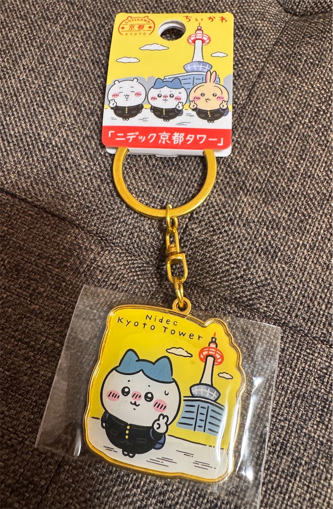 f:id:satobanana:20250616110741j:image
