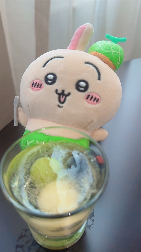 f:id:satobanana:20250820112558j:image