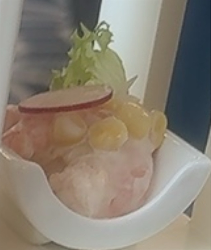 f:id:satobanana:20250820113005j:image