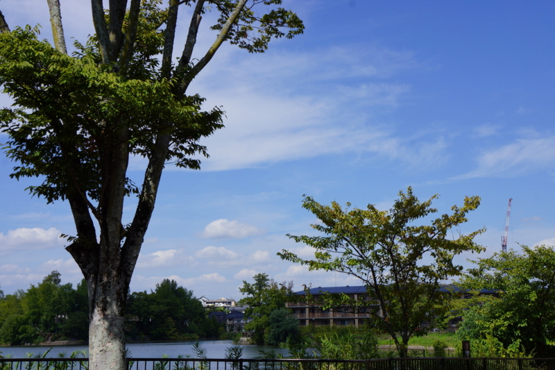 f:id:satochan24:20130928124644j:image:w360
