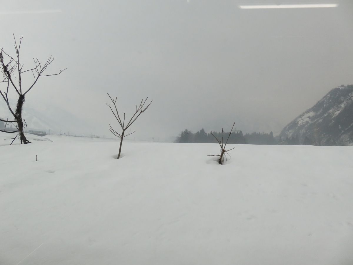f:id:satochantetsu:20200407112508j:plain