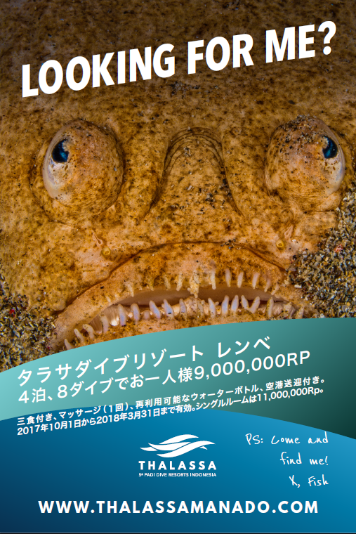 f:id:satodiving:20170919094418p:plain