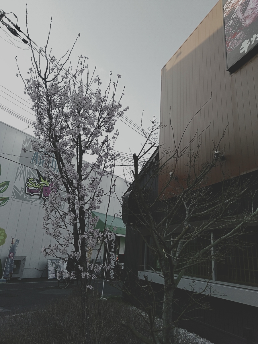 f:id:satoemon2525:20210315122143j:plain