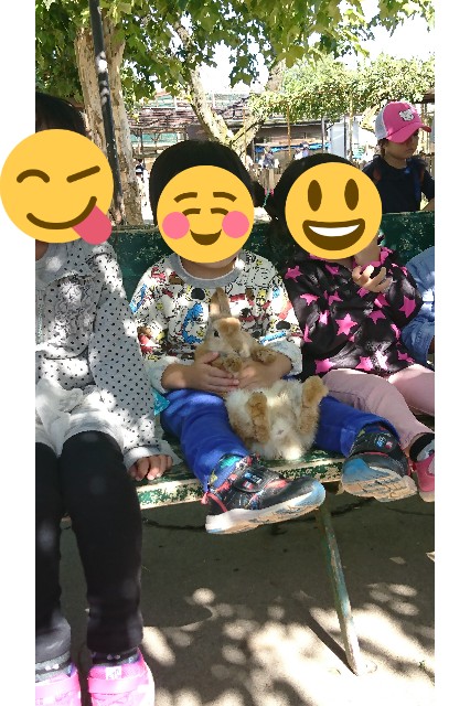 f:id:satofumyo:20190616043506j:plain 並んでウサギを触る子たち