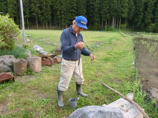 イノシシの罠作り2