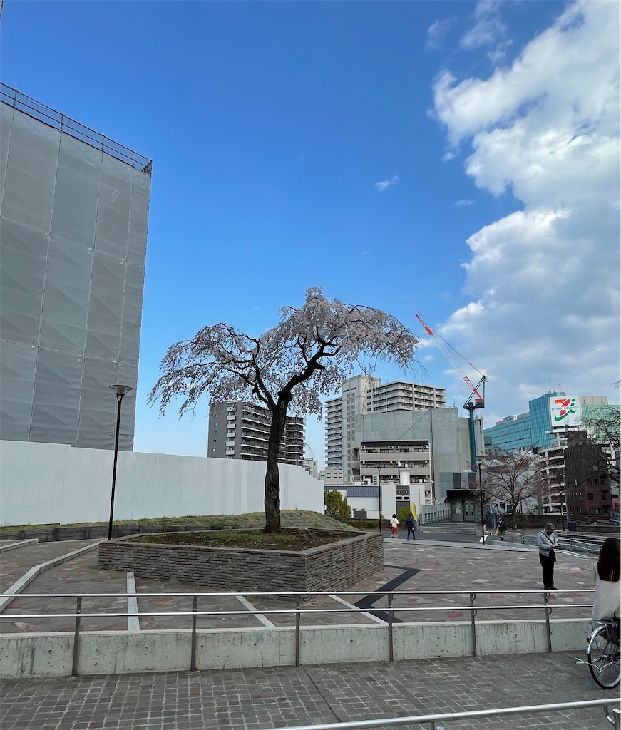 f:id:satoimo-chan:20220329090400j:image