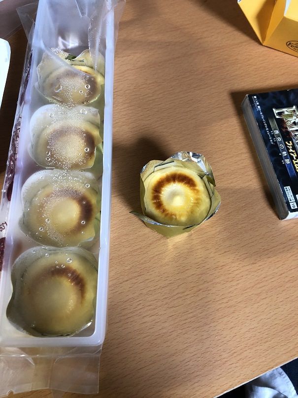 f:id:satoiti22:20190420082447j:plain