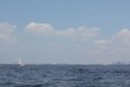 20100606115340