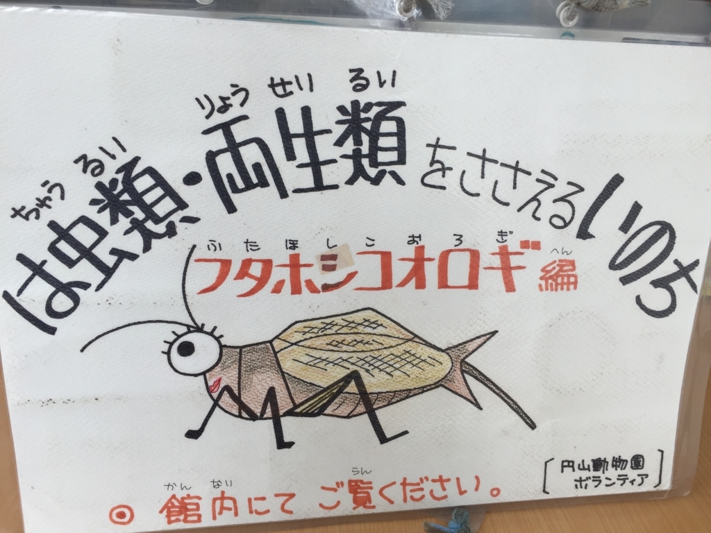 f:id:satokitisnake:20180430234548j:plain f:id:satokitisnake:20180430234548j:plain