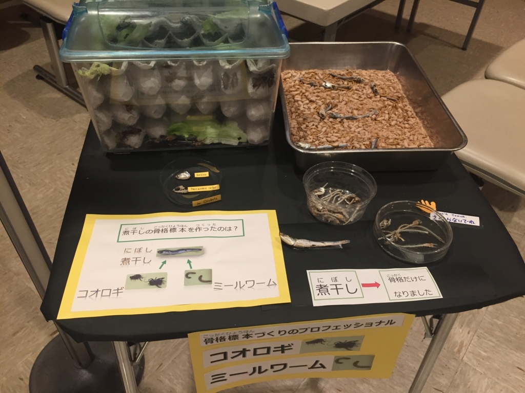 f:id:satokitisnake:20180503235524j:plain f:id:satokitisnake:20180503235524j:plain