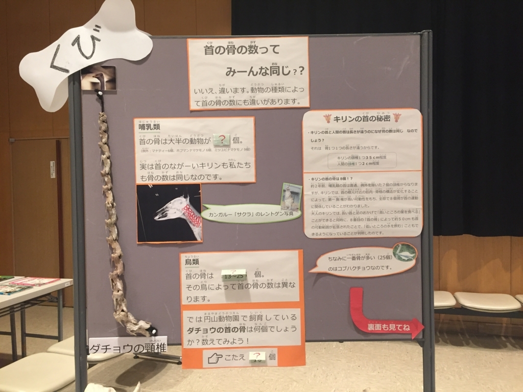 f:id:satokitisnake:20180503235629j:plain f:id:satokitisnake:20180503235629j:plain