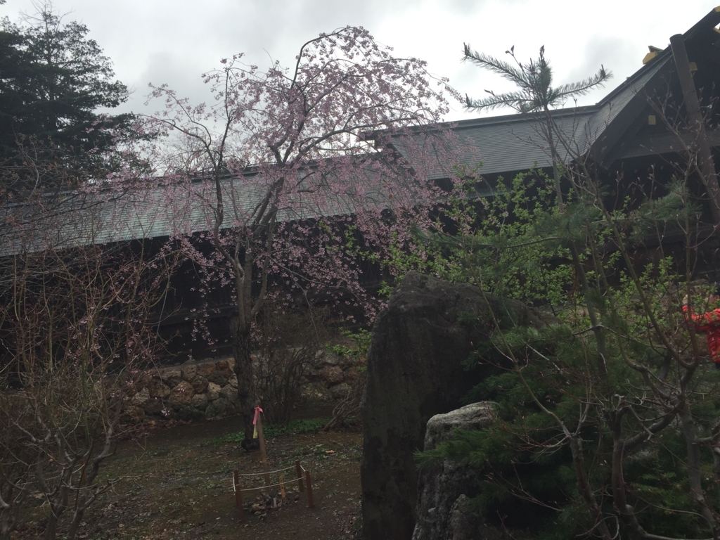 f:id:satokitisnake:20180503235928j:plain f:id:satokitisnake:20180503235928j:plain