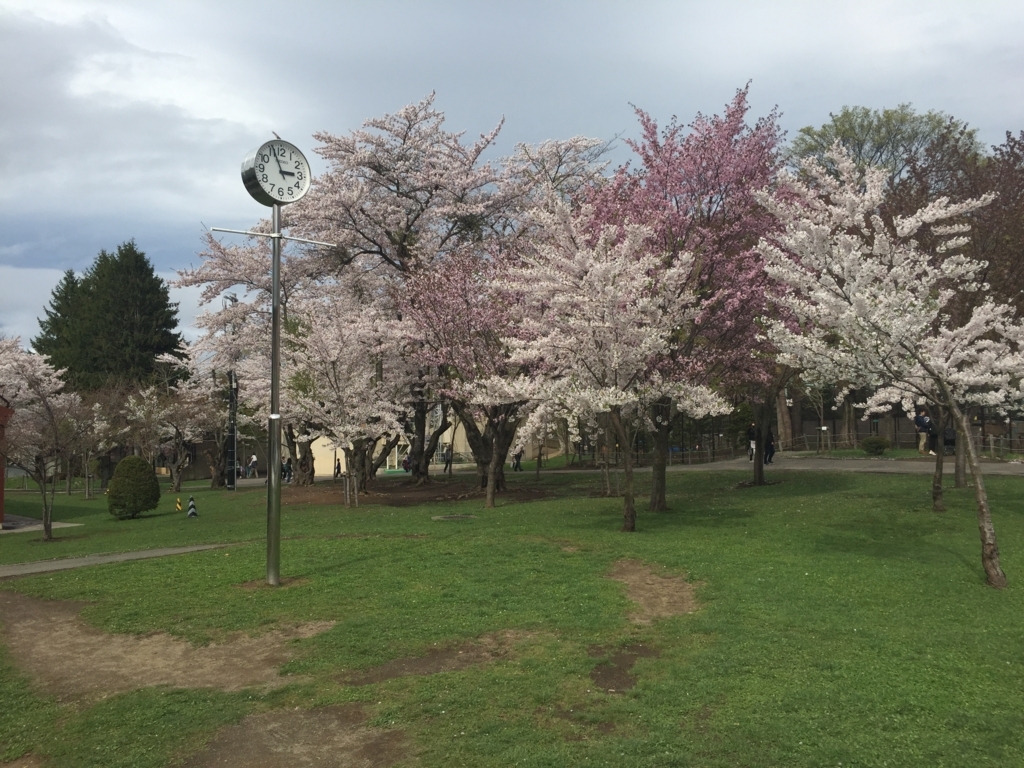 f:id:satokitisnake:20180504000012j:plain f:id:satokitisnake:20180504000012j:plain