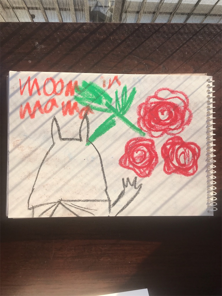 f:id:satoko2530:20190221124759j:image f:id:satoko2530:20190221124759j:image