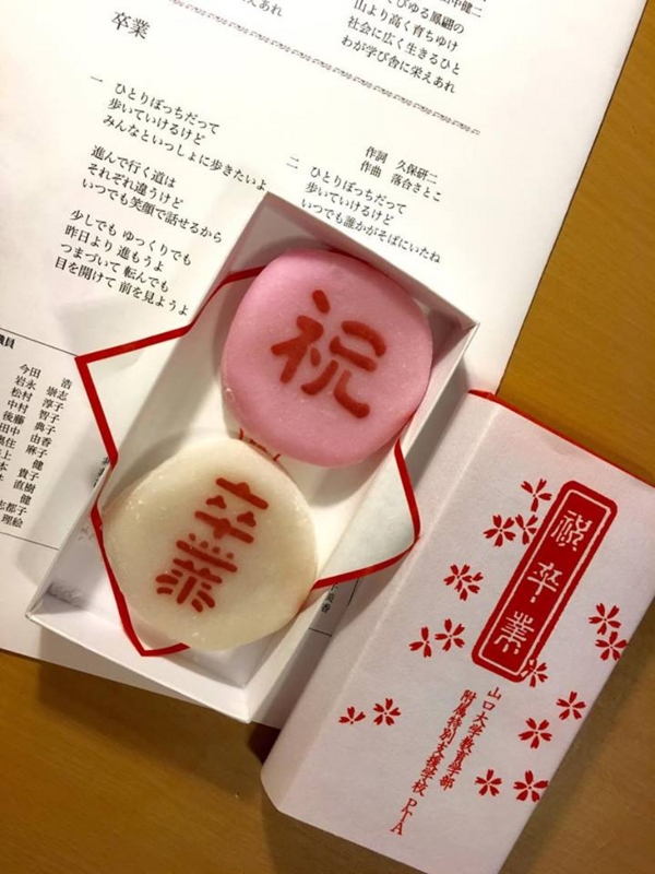 f:id:satoko_ochiai:20160309211401j:image:h300