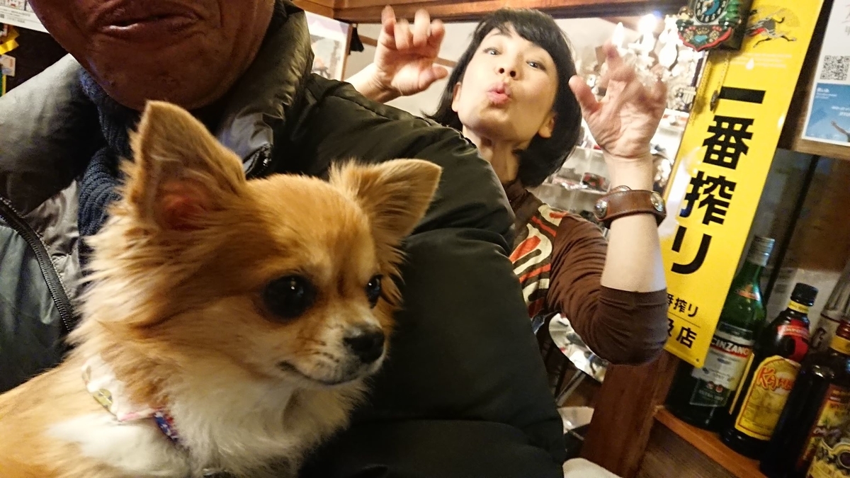 f:id:satoko_ochiai:20191216144721j:plain f:id:satoko_ochiai:20191216144721j:plain