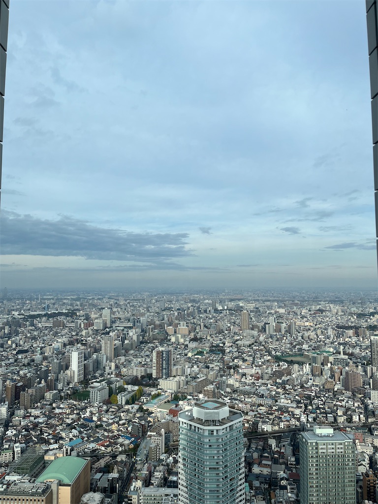 f:id:satoko_san:20241203192224j:image