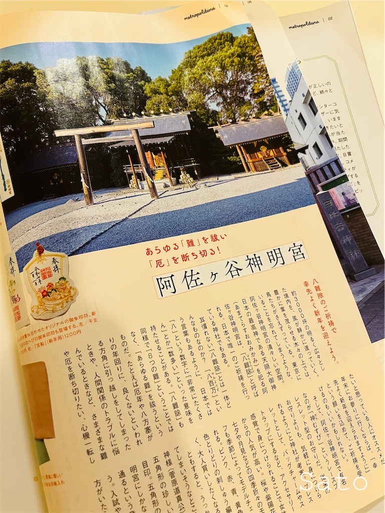 f:id:satoko_san:20241231005041j:image