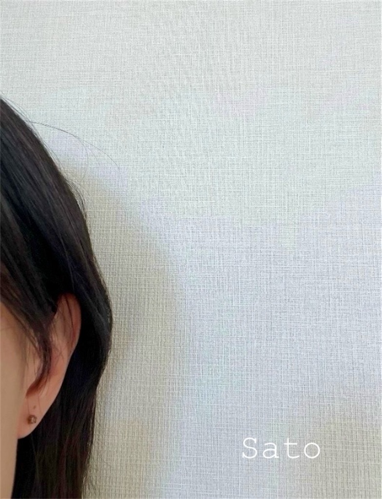 f:id:satoko_san:20250227164240j:image