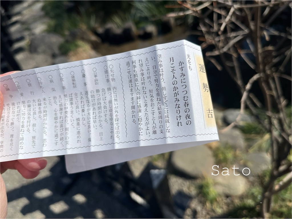 f:id:satoko_san:20250311191311j:image