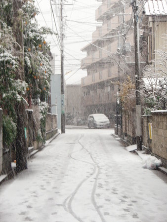 f:id:satoko_szk:20080203082837j:image:h300 f:id:satoko_szk:20080203082837j:image:h300