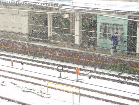 f:id:satoko_szk:20080203114237j:image:w300 f:id:satoko_szk:20080203114237j:image:w300