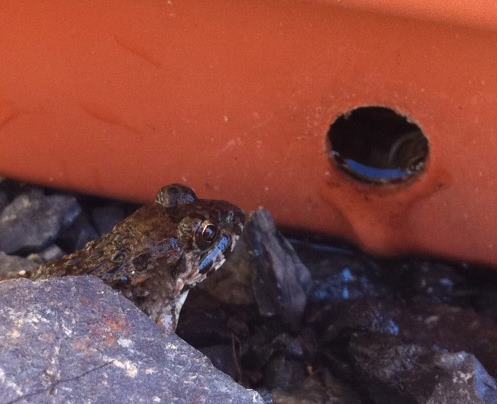 f:id:satokoochiai:20110923201255j:image:w360:right