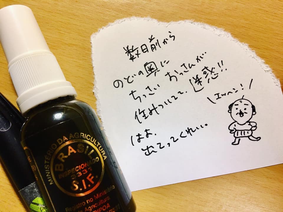 f:id:satokoochiai:20190803174428j:plain f:id:satokoochiai:20190803174428j:plain