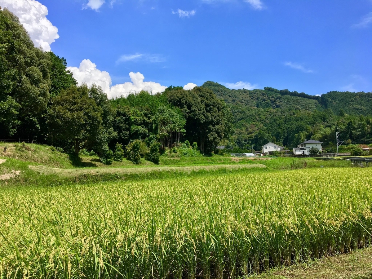 f:id:satokoochiai:20190903144106j:plain f:id:satokoochiai:20190903144106j:plain