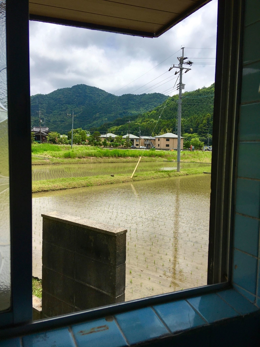 f:id:satokoochiai:20200531141954j:plain f:id:satokoochiai:20200531141954j:plain