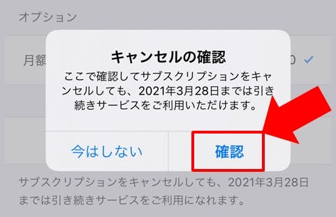 f:id:satolife:20210313225346j:plain