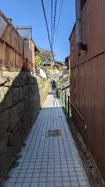 f:id:satomame:20211009213415j:image
