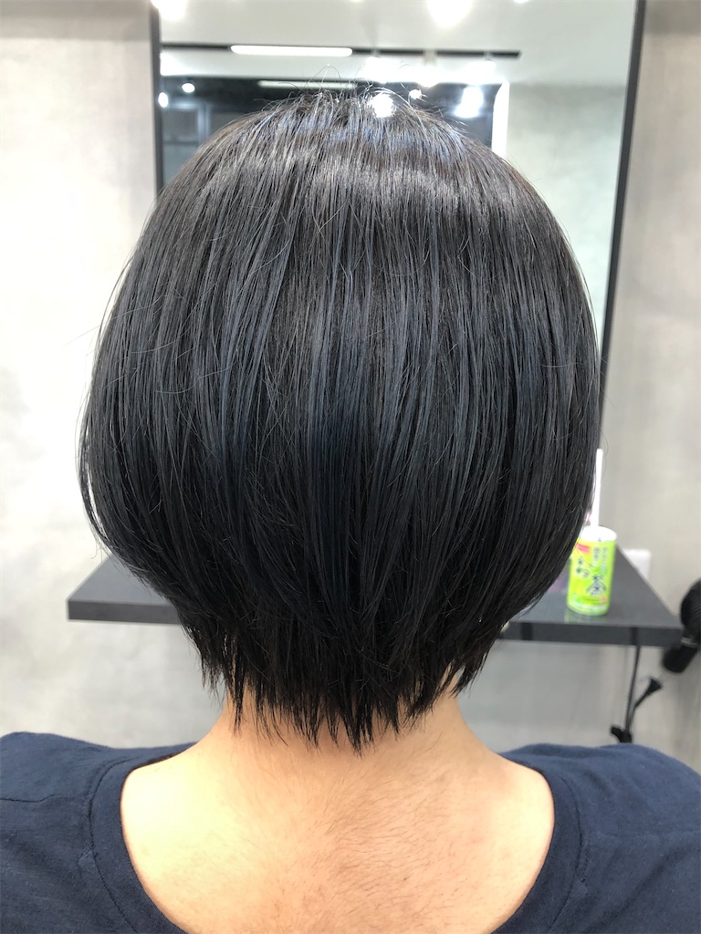 f:id:satomaru98:20200719125335j:image