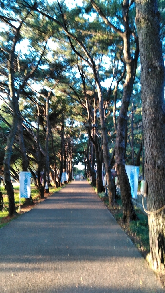 f:id:satomatsu7:20181213194642j:plain f:id:satomatsu7:20181213194642j:plain